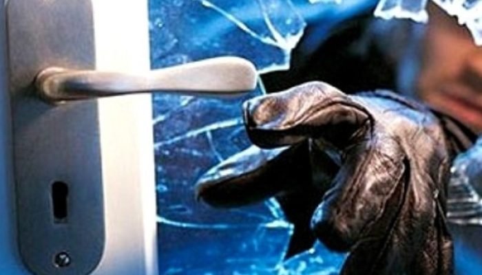 noticiasconcursos.com.br-direitos-brasil-00014-2 (2)