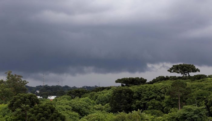 Foto: Governo do Paraná