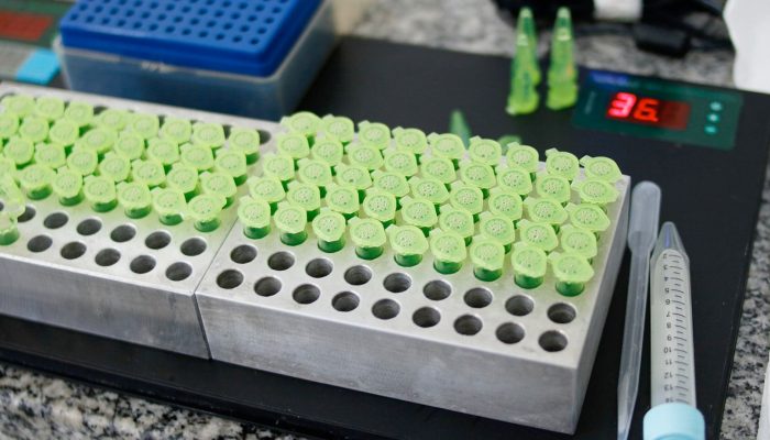 Foto: Foto: Divulgação