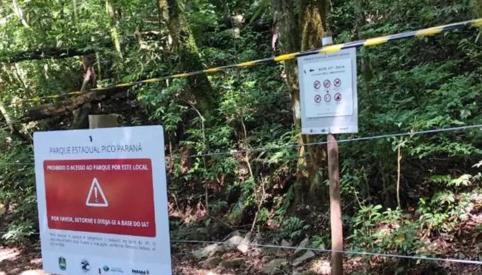 Foto: https://massa.com.br/servicos-informacoes-uteis/onibus-curitiba-integracao