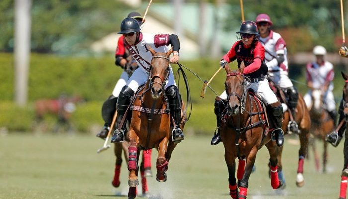 Foto: Conteúdo e Notícias do Agronegócio Brasileiro | CompreRura