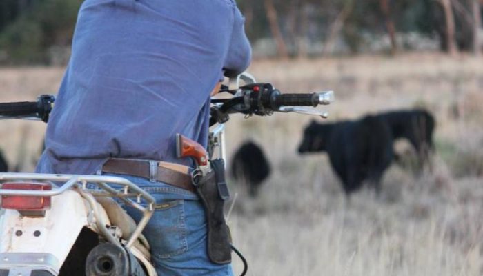 porte_de_arma_produtor_rural_