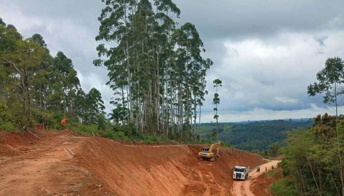 Foto: Governo do Paraná