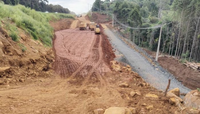 Foto: Governo do Paraná