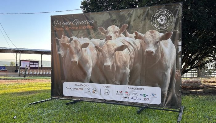 projeto-genetica-semen-e-embrioes-da-raca-canchim-grupo-ilma