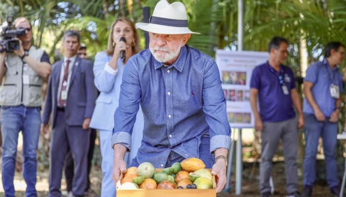 Foto: Conteúdo e Notícias do Agronegócio Brasileiro | CompreRura