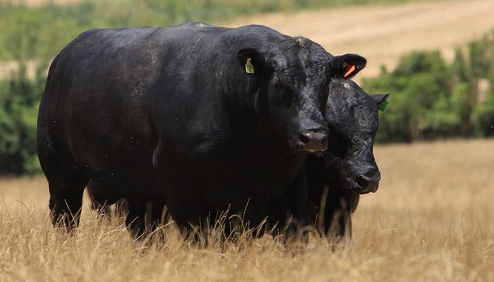 Foto: Foto: Edu Rocha