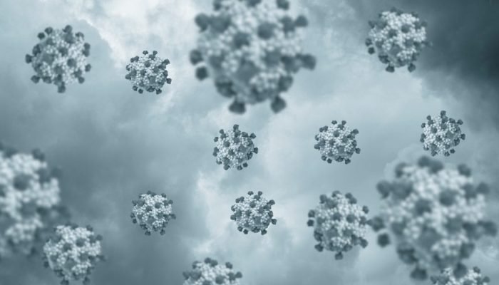 shutterstock_2388399593-1024x682-1