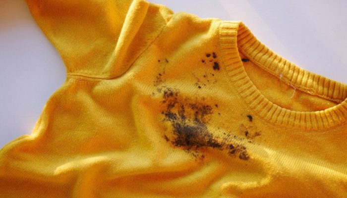 shutterstock_2531447633-1-1024x683-1