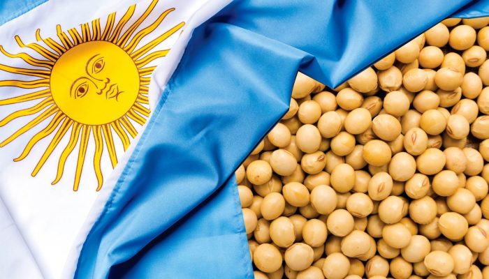 Foto: Foto Divulgação.