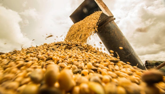 Foto: Foto: Giovane Rocha / Rally da Safra