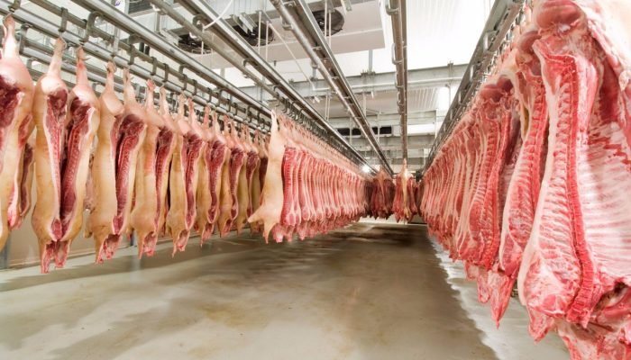suino-carne-frigorifico-