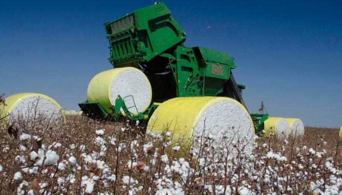 Foto: Notícias do Agronegócio Brasileiro – CompreRural