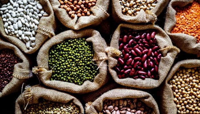 Foto: Conteúdo e Notícias do Agronegócio Brasileiro | CompreRura