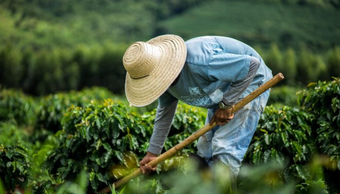 Foto: Foto: Divulgação