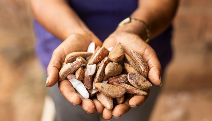 Foto: Foto: Divulgação