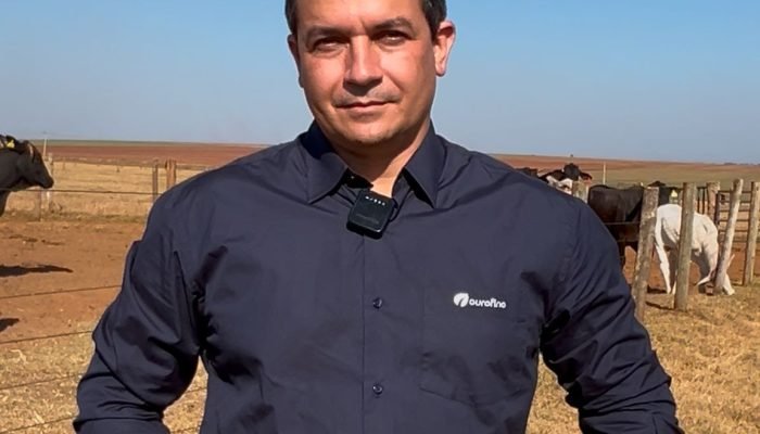 Foto: Conteúdo e Notícias do Agronegócio Brasileiro | CompreRura