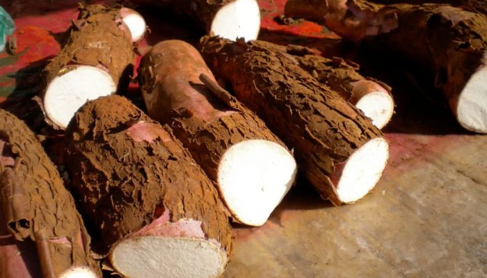 Foto: Foto: Divulgação