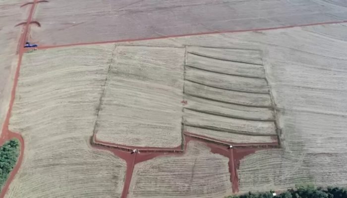 Foto: Conteúdo e Notícias do Agronegócio Brasileiro | CompreRura
