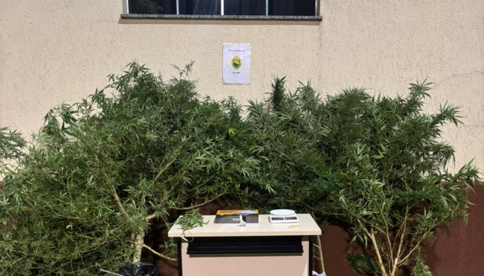 whatsapp_image_2026-03-04_at_07.46.55