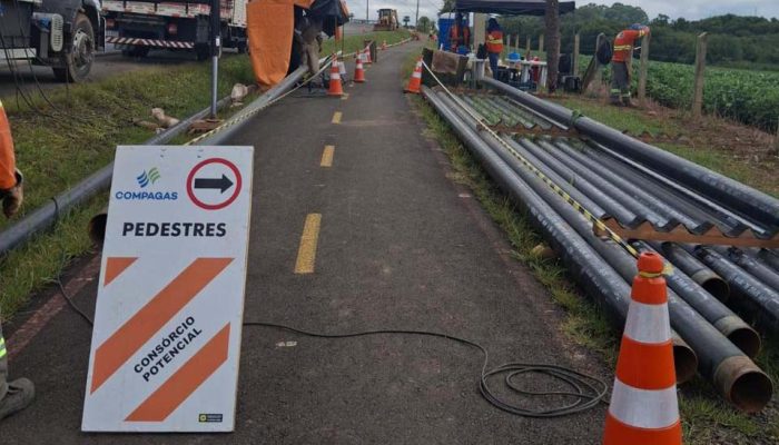 Foto: Governo do Paraná