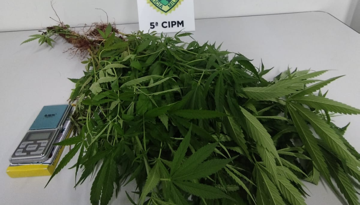 whatsapp_image_2026-04-21_at_06.22.45