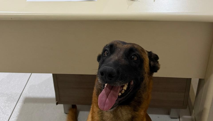 whatsapp_image_2026-04-22_at_08.42.47